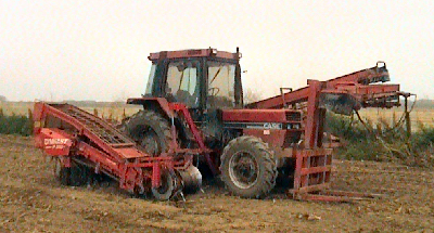 potato harvester