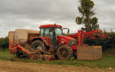 swede harvester